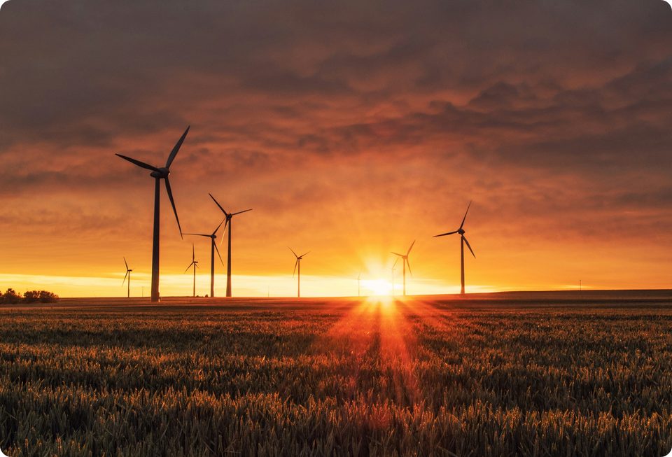 Parque eólico al atardecer con varios aerogeneradores